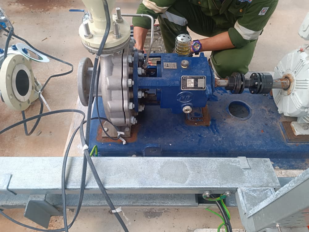 Our Service